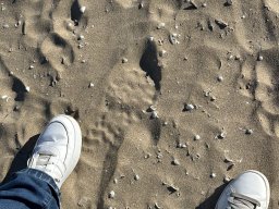 198-10-01-2026 IMG_3396